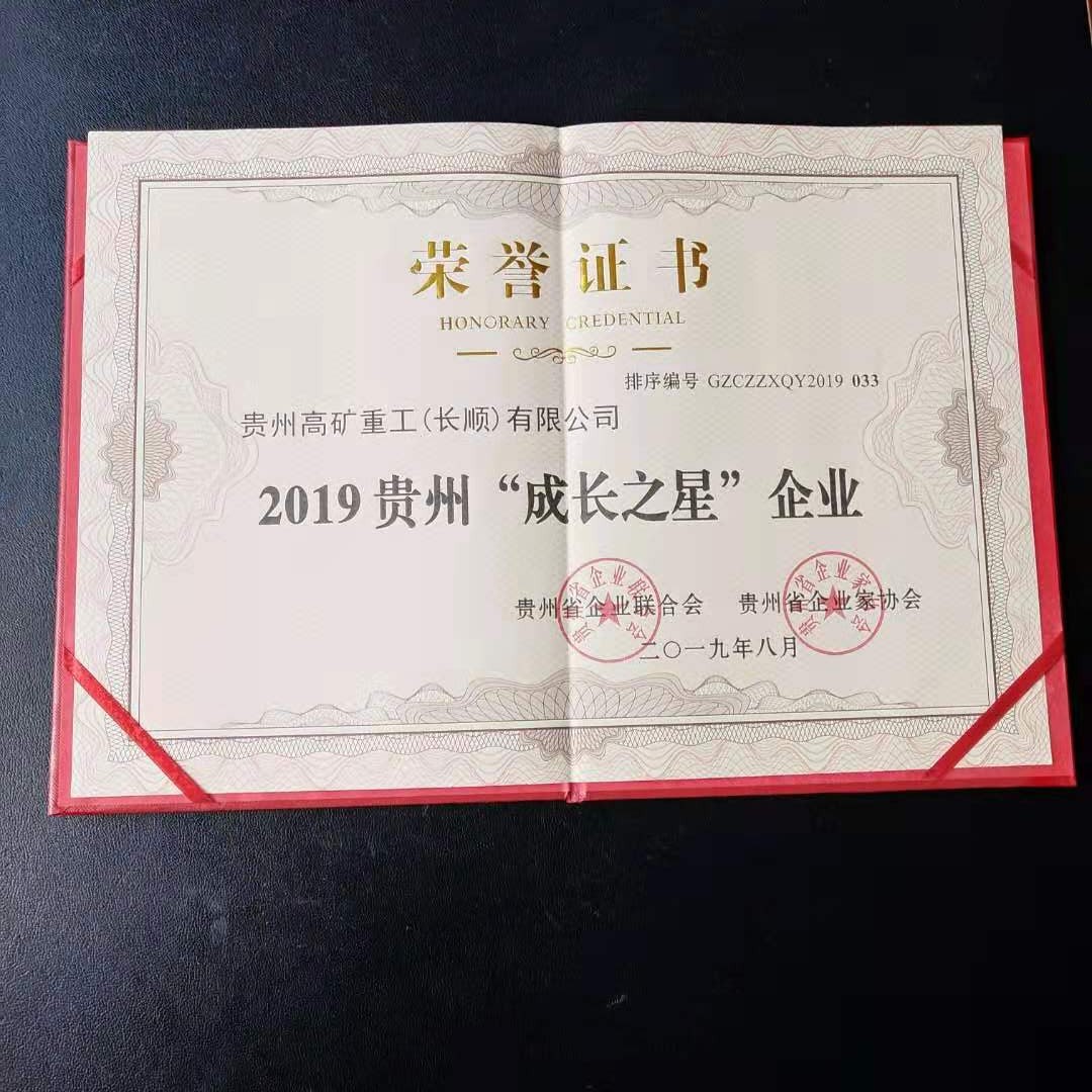 BV韦德荣获2019贵州“成长之星”企业称号